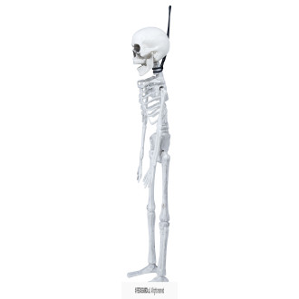 Kostra závesná 40 cm