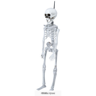 Kostra závesná 40 cm