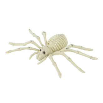 Kostra pavúka 24 cm