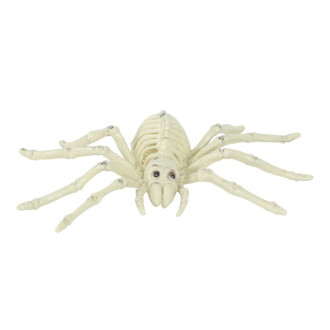 Kostra pavúka 24 cm