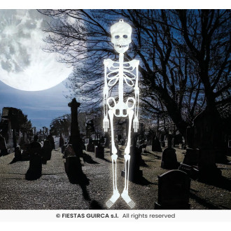 Fluoreskujúca kostra 75 cm