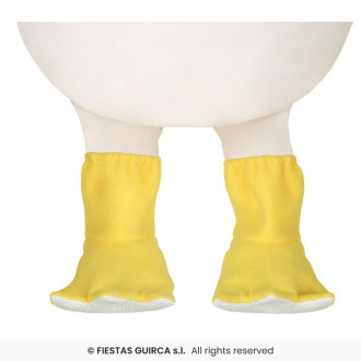 Pollito - kura