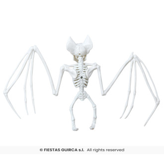 Kostra netopiera 30 x 16 cm