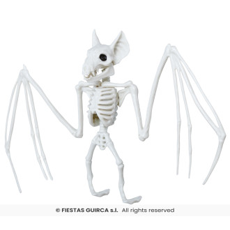 Kostra netopiera 30 x 16 cm