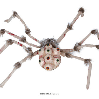 Pavúk s očami