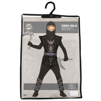 Temný ninja