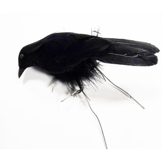 Ptáček dekorační černý