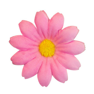 Widmann Sad 20 ks dekorativních růžových květů